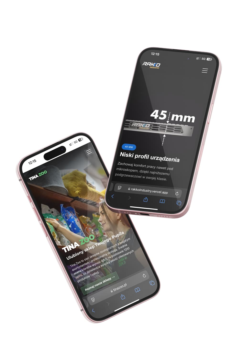 Realizacja stron przedstawiona na telefonie iphone 15, tinazoo.pl i rakkoindustry.com
